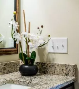 орхидеи в ванной