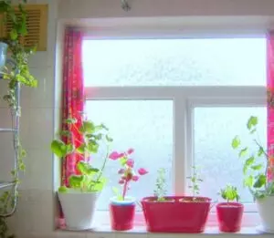 растения для ванной с окном